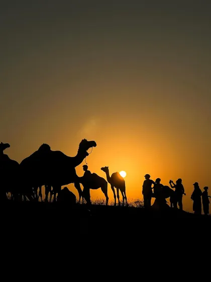 A beautiful silhouette of a caravan of camels and people against the setting sun in the Thar Desert.