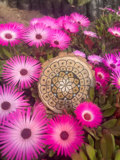 A mandala doodle on a slice of wood, surrounded by beautiful pink flowers. These wood slice coasters are perfect for adding a rustic, artistic touch to your home.
