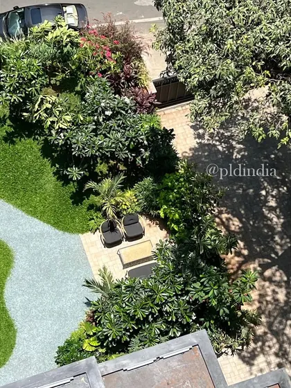 An overhead view of the entrance garden reveals a secluded seating area, almost completely hidden by the canopy of trees. This perspective highlights the privacy and immersion created by the dense planting design.