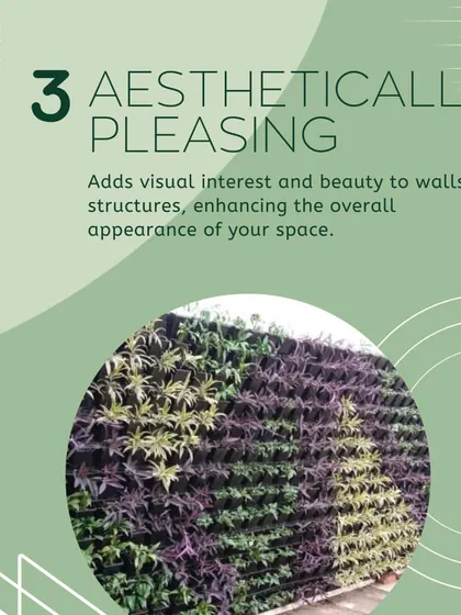 An informational graphic explaining how vertical gardens are aesthetically pleasing, adding visual interest and beauty to walls and structures.