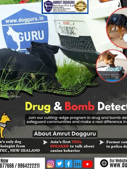 A visual summary of our drug and bomb detection training. We teach dogs to identify and indicate illicit substances and explosives.