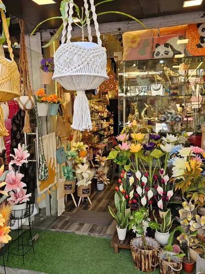 Welcome to Earthy Home in Rajouri Garden, Delhi. Our store is a treasure trove of unique home decor, stylish organization solutions, and beautiful gifts waiting to be discovered.