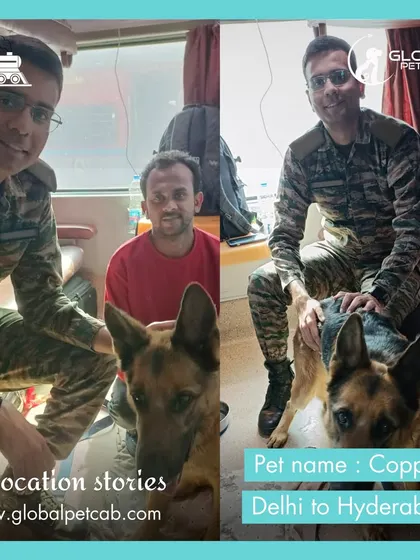 Copper, a handsome German Shepherd, with his owner and our handler on a train from Delhi to Hyderabad. We often assist defense personnel in relocating their beloved companion dogs.