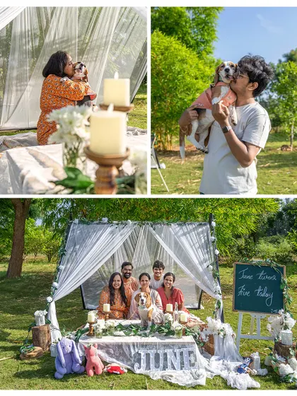 A full family celebration for June's 5th birthday. These outdoor picnic setups are perfect for getting everyone in the frame, creating a beautiful family portrait that includes your beloved pet.