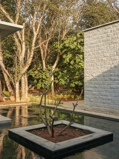 A view of the office spaces through large glass walls, looking out onto the water court and trees.