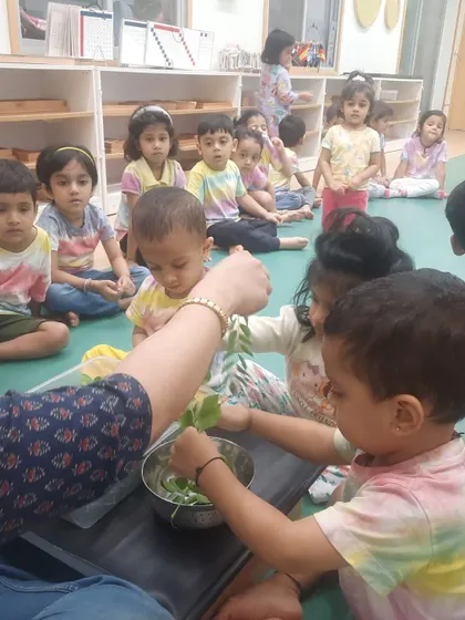 Each activity, from making Bhel Puri and toast to plucking methi leaves and exploring what floats, is a lesson in itself. These practical life and sensorial activities are central to the Montessori method, helping children develop fine motor skills, concentration, and a deep understanding of the world through their own actions.