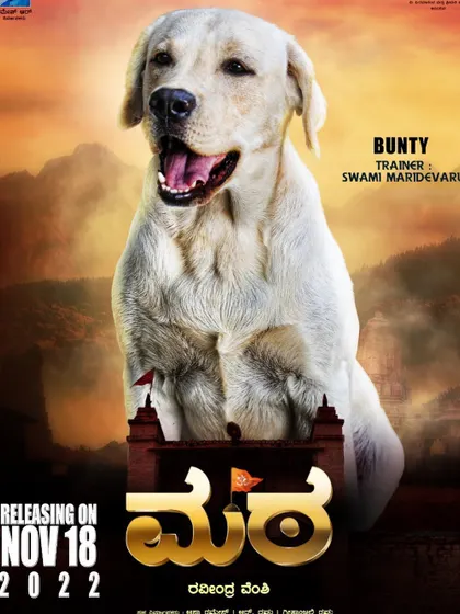 This is the movie poster for 'Mara', where our celebrity dog, Bunty the Labrador, had a starring role. He was trained and handled by our head trainer for this project.