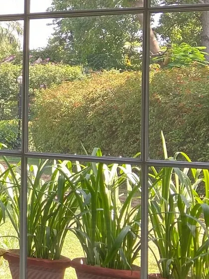 A small glimpse of nature through a window, hinting at a larger biophilic design story. I believe in creating spaces that frame the outdoors and use every opportunity to establish a connection with the natural world.