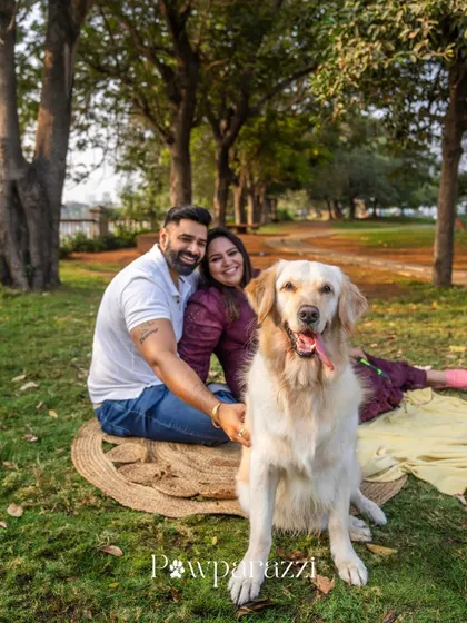 A family portrait from Muffin the Golden Retriever's 4th birthday shoot. The love and happiness in this photo are what my work is all about.