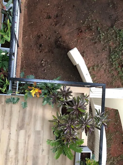 Some of our planting designs are best viewed from above. This perspective shows the logic and artistry in how we combine different plants in a small balcony space.