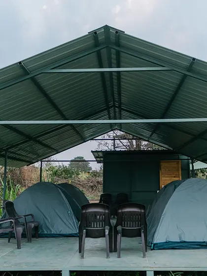 Our tents are arranged to provide both community and privacy. This setup shows two tents under a shared roof, ideal for small teams or groups of colleagues.