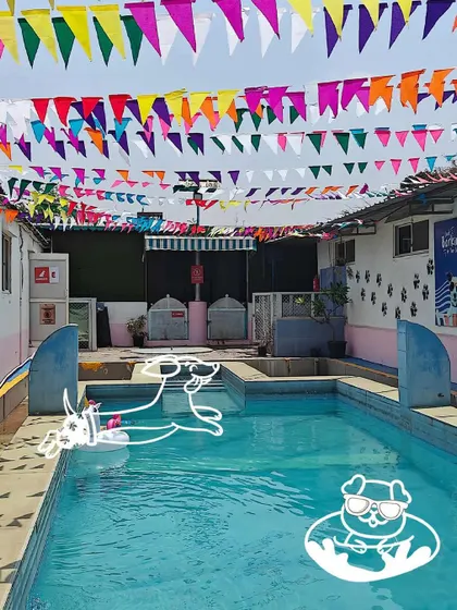 The party atmosphere is always on point. With festive decorations and a pool full of fun, I turn a simple swim into a full-blown celebration for your furry friends.