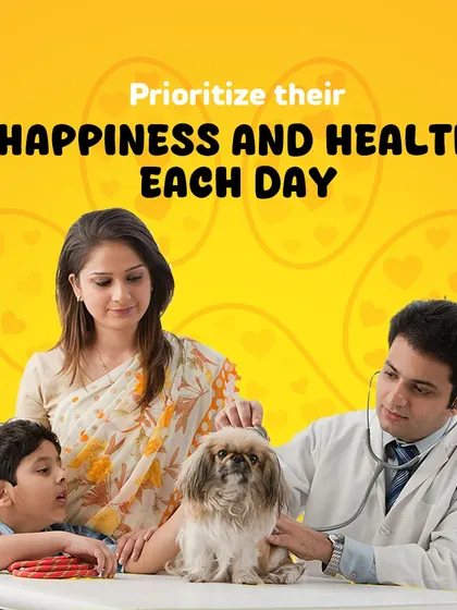 Prioritizing your pet's happiness and health is what it's all about. Regular check-ups and consistent care ensure they live a long, joyful life with your family.