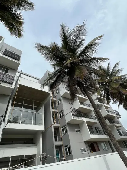 Palm trees frame the view of "The Treehouse" apartments, highlighting the integration of landscape and architecture.