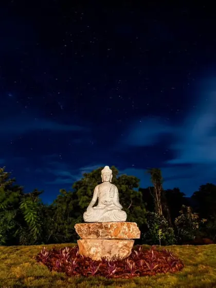 A serene Buddha statue under a starry night sky at a retreat in Chikmagalur. This image captures the peaceful and spiritual atmosphere you can find here, perfect for meditation and quiet reflection.