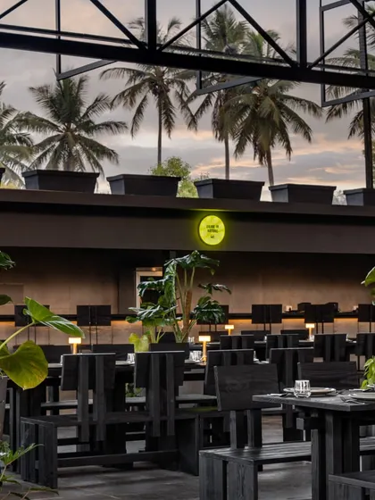 The view from our Badminton Ball Tree sports arena, where you can enjoy the game with a backdrop of palm trees and open sky.