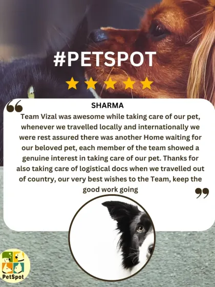 A wonderful review from the Sharma family, who have used our services for both local and international travel. We're so grateful for their trust and are proud to be a second home for their pet.