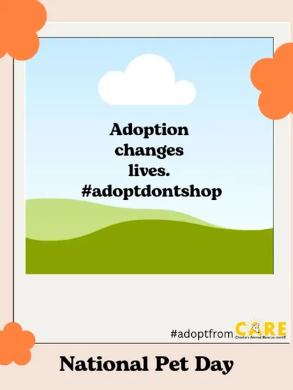 A simple but powerful message for National Pet Day. Adoption truly changes lives, both for the animal who gets a home and the human who gets a new best friend.