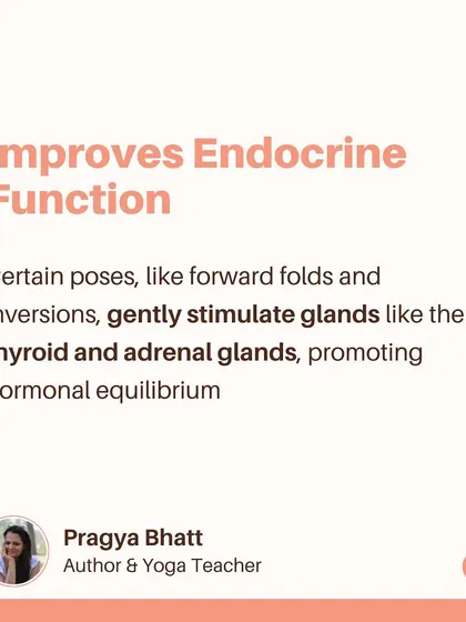 Certain yoga poses, like forward folds and gentle inversions, improve endocrine function. They gently stimulate glands like the thyroid and adrenals, promoting hormonal equilibrium after the dramatic shifts of pregnancy.