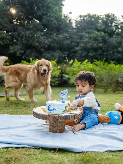 An outdoor cake smash for Aariv's first birthday, with Ollie watching over him. These sessions are a fun and memorable way to celebrate a major milestone for both baby and fur-baby.