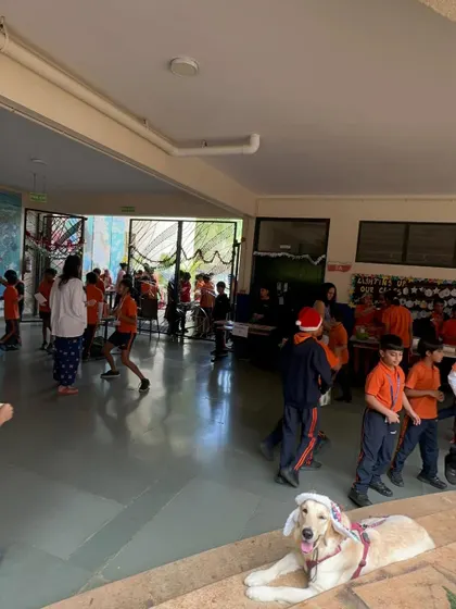 The dogs and I had a wonderful time at a school's winter carnival. Surrounded by kids and food, they were perfectly behaved, showing their potential as therapy dogs. I hope more schools open their doors to the benefits of having dogs around children.
