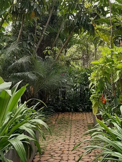 A cobblestone walkway leads through a verdant garden, demonstrating my approach to creating inviting paths that guide you through different zones of the landscape.