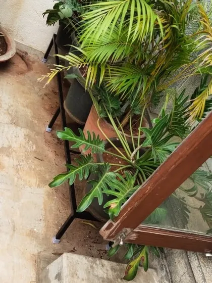 A top-down view showing how our stand fits snugly in a corner, supporting multiple large plants and maximizing the available balcony space.
