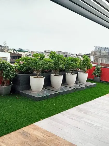 This rooftop design uses a clean, modern aesthetic. I installed artificial turf alongside a light-colored wood-look deck and arranged a series of ficus trees in minimalist white planters on a raised platform.