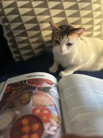 Even our furry friends are curious about the delicious recipes in 'Memories on a Plate'.