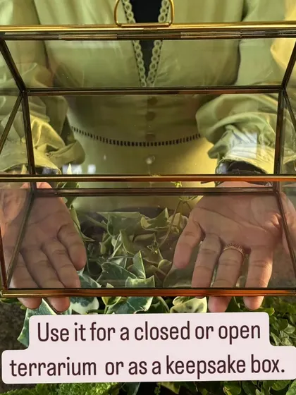 My geometric glass containers are multi-purpose. You can use them to create a stunning open or closed terrarium, or even use them as an elegant keepsake box for your treasures.