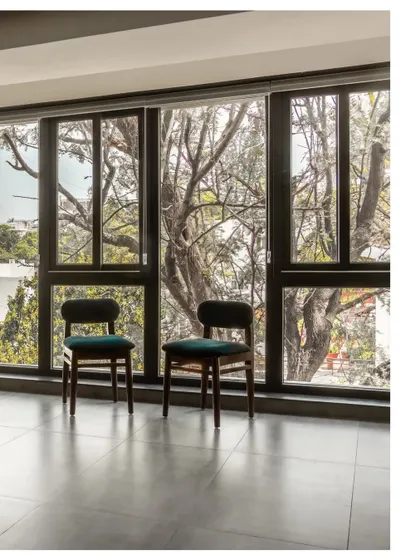 Inside the workspace, we framed views of the silver oak tree. This biophilic design strategy provides a soft, ever-changing natural backdrop, enhancing focus and well-being for the people inside.