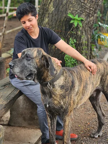 The bond between humans and animals is something special. Working with this gentle Great Dane was a profound reminder of how connection transcends language.
