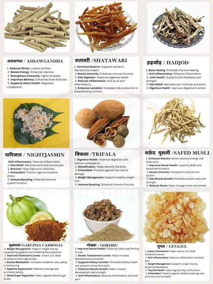 This chart showcases some of the most powerful herbs I work with, like Ashwagandha for stress, Shatavari for hormonal balance, and Trifala for digestion. During our consultation, we will identify which of these ancient remedies can help you on your path to wellness.