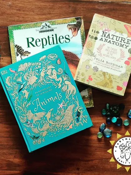 Our curriculum is rich with stories, music, and cultural explorations. This collection shows the variety of books we read, the activities we do, and the celebrations we share to broaden our children's horizons.
