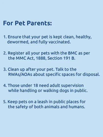 For pet parents in Mumbai: new guidelines require you to keep your pet clean and vaccinated, register them with the BMC, and keep them on a leash in public.