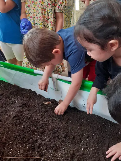 Two children carefully place seeds into the soil, learning about the life cycle of plants.