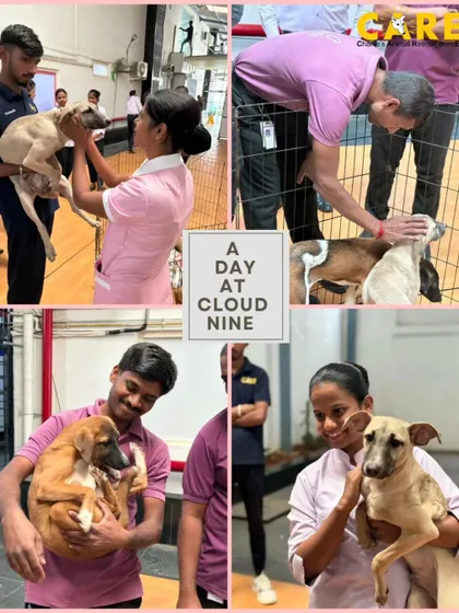 More moments from our animal therapy session with the Cloud Nine Hospital staff. The joy and comfort that animals provide is a powerful stress reliever.