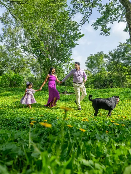A wide shot of a family walking hand-in-hand with their daughter and dog through a beautiful green field.