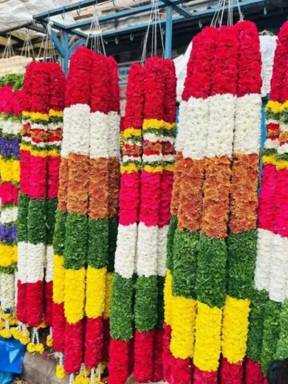 I have a wide variety of colorful flower garlands available for all your event needs. These thick, fresh garlands are made from chrysanthemums, roses, and other flowers, suitable for decorating stages, entrances, or for poojas.