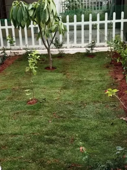 We created this lovely flower garden with a central lawn area. The combination of green grass and colorful blooms enhances the property's appeal.