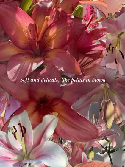 Soft and delicate, like petals in bloom. Floral notes are at the heart of many of my creations. This image captures the essence of lily blossom, a scent that is both elegant and soothing.