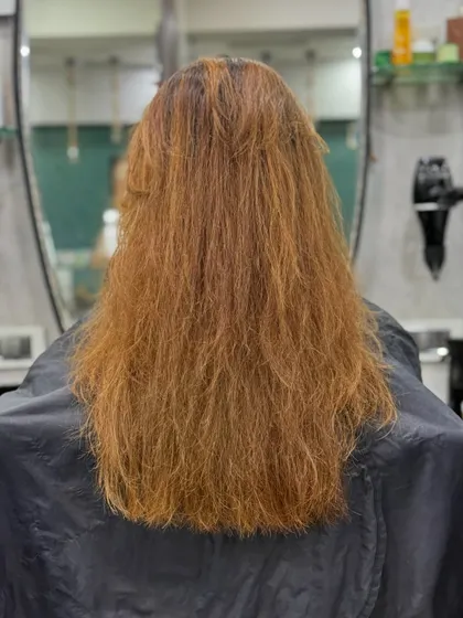 The starting point: dry, over-processed hair in need of a serious refresh. This is the "before" for the molten magic transformation.