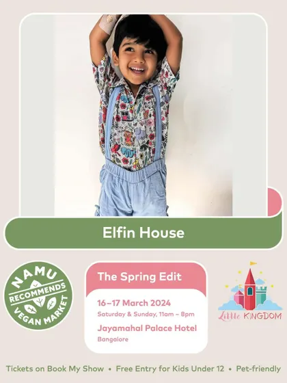 A duplicate image of the Elfin House feature.
