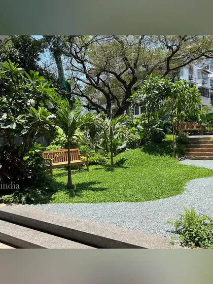 A wide view of the entrance garden, showcasing a large, sculptural tree as the centerpiece. The design uses varying ground levels, a winding gravel path, and multiple seating areas to create a dynamic and inviting space.