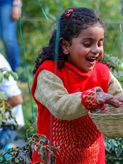 The pure joy on a child's face as she receives freshly picked tomatoes. These are the simple, happy moments that we cherish at the farm.