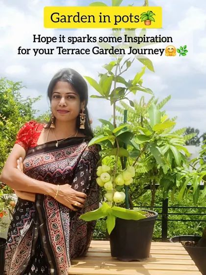 I hope my garden in pots sparks some inspiration for your own terrace garden journey. With a few pots and plenty of sunlight, you can create your own green paradise.