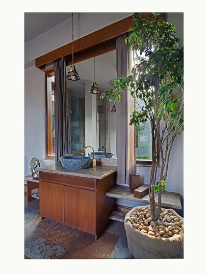 A detail of the bathroom vanity, featuring a carved stone sink and a large indoor plant. Bringing living elements into every room, including the bathroom, is fundamental to my approach to biophilic interior design.