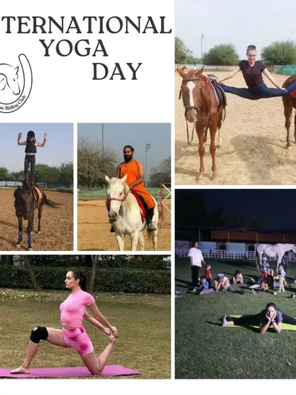 A collage celebrating International Yoga Day, featuring riders performing yoga poses on and off horseback. It's a unique way to practice balance and mindfulness.