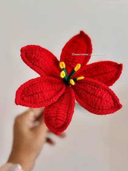 The vibrant red crochet lily. This color is so bold and striking, making it a perfect flower for a statement bouquet or a romantic gift.