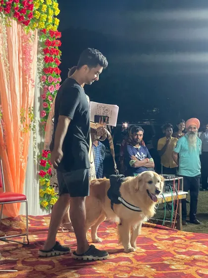 A beautiful Golden Retriever on stage during the competition. Our venue is suitable for showcasing trained dogs and hosting various types of competitive and non-competitive pet events.